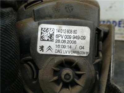 Potenciometro Pedal Gas Citroen JUMPY 2 0 HDi