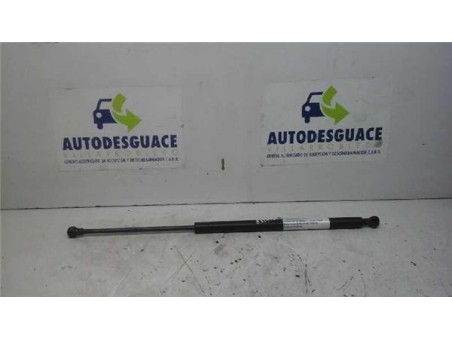 Amortiguador Porton Peugeot 607 2 2 