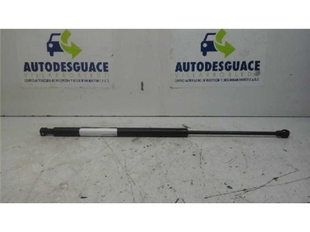 Amortiguador Porton Peugeot 607 2 2 