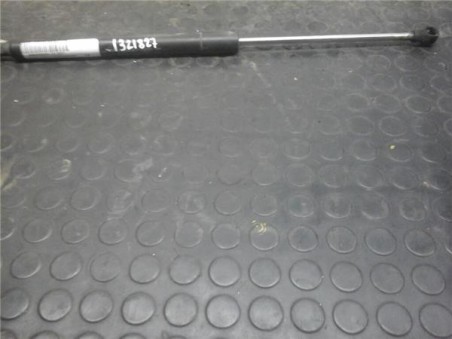 Amortiguador Porton Renault CLIO III 1 5 dCi D 