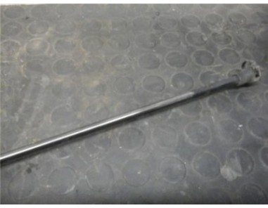 Amortiguador Porton Renault SCENIC III 1 9 dCi D 