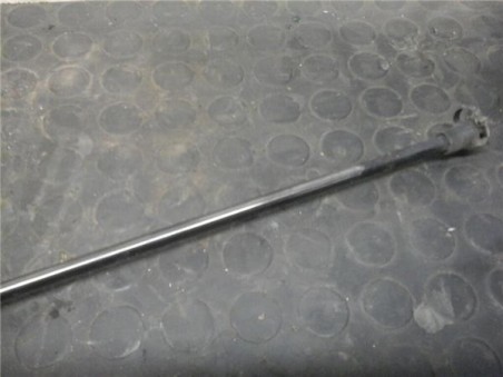 Amortiguador Porton Renault SCENIC III 1 9 dCi D 