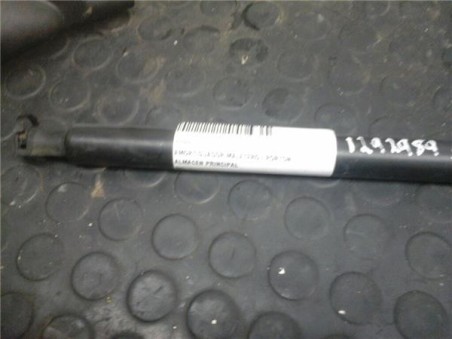 Amortiguador Porton Renault SCENIC III 1 9 dCi D 