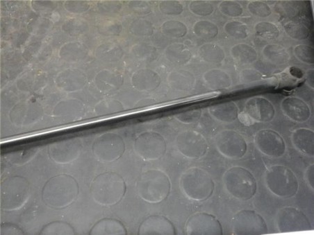 Amortiguador Porton Renault SCENIC III 1 9 dCi D 