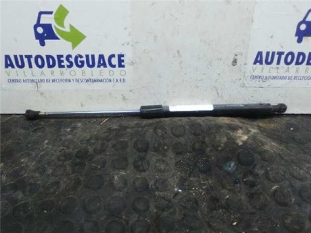 Amortiguador Porton Renault CLIO III 1 5 dCi D FAP 