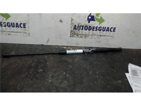 Amortiguador Porton Land Rover RANGE ROVER SPORT 2 7 Td V6 