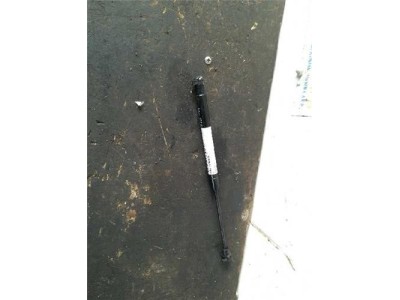 Amortiguador Porton Chevrolet CAPTIVA 2 0 D 