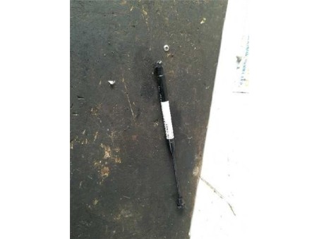 Amortiguador Porton Chevrolet CAPTIVA 2 0 D 