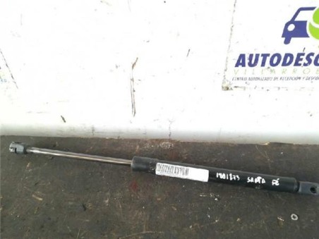 Amortiguador Porton Hyundai SANTA FE 2 2 CRDi 