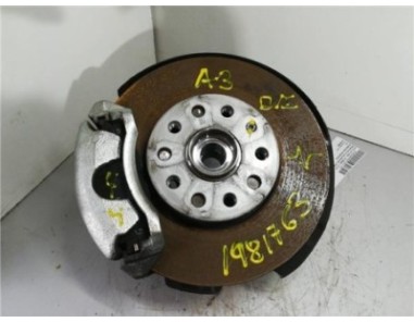 Mangueta Delantera Izquierda Audi A3 SEDÁN 1 6 TDI 