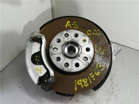 Mangueta Delantera Izquierda Audi A3 SEDÁN 1 6 TDI 