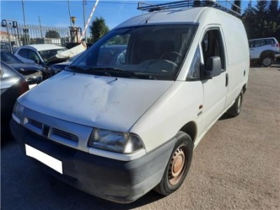 Mangueta Delantera Izquierda Citroen JUMPY Furgón  1 9 D 70