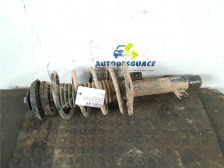 Amortiguador Delantero Derecho Citroen C4 CACTUS 1 6 Blue-HDI FAP 