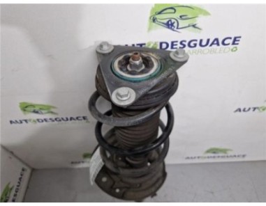 Amortiguador Delantero Derecho Renault Megane IV Berlina 5P  1 5 Business [1 5 Ltr  - 66 kW dCi Diesel FAP Energy]