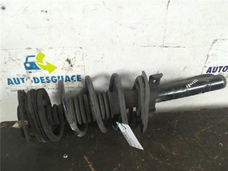 Amortiguador Delantero Izquierdo Renault MEGANE II COUPE/CABRIO 1 9 dCi D 