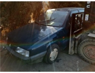 Caja Cambios Manual Citroen ZX 1 9 D 