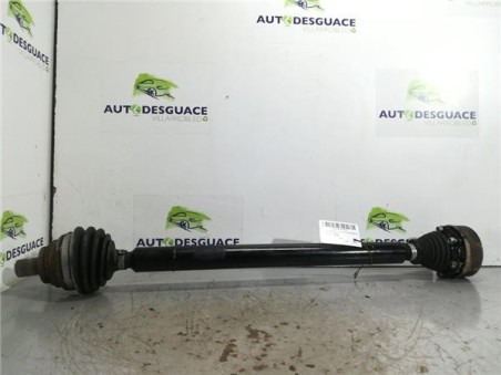 Palier Delantero Derecho Audi A3  1 9 TDI Ambiente [1 9 Ltr  - 77 kW TDI]