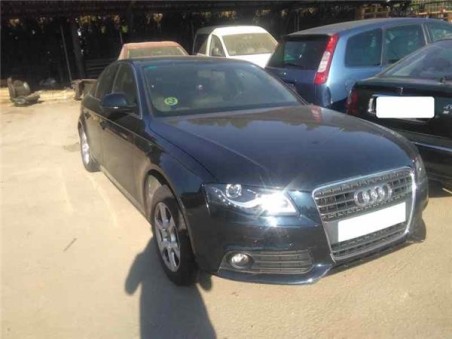 Brazo Superior Delantero Izquierdo Audi A4 BER  2 0 16V TDI 