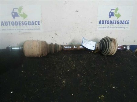 Transmision Delantera Izquierda Citroen JUMPY 1 9 D 