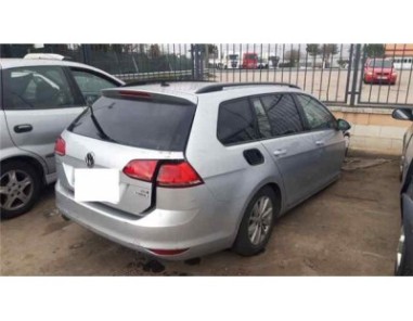 Maneta Exterior Porton Volkswagen GOLF VII VARIANT 1 6 