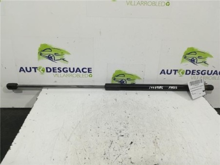 Amortiguador Porton Trasero Derecho Ford FOCUS LIM  1 0 EcoBoost 