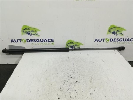 Amortiguador Porton Trasero Derecho Ford FOCUS LIM  1 0 EcoBoost 