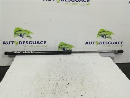Amortiguador Porton Trasero Izquierdo Ford FOCUS LIM  1 0 EcoBoost 