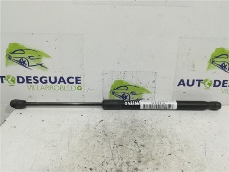 Amortiguador Porton Trasero Derecho Skoda ROOMSTER 1 9 TDI 
