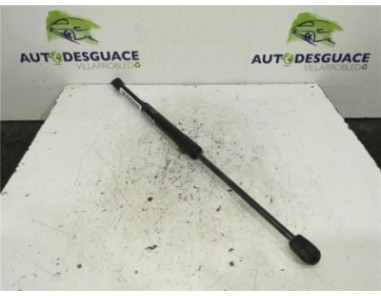 Amortiguador Porton Trasero Izquierdo Hyundai I20 1 2 16V 