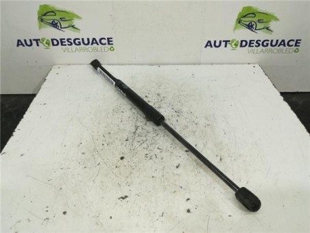 Amortiguador Porton Trasero Izquierdo Hyundai I20 1 2 16V 