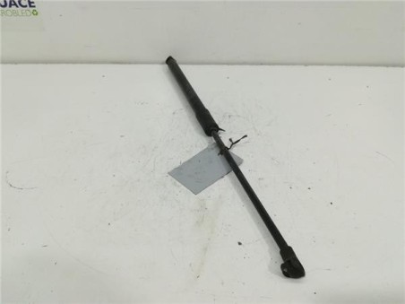 Amortiguador Porton Trasero Derecho Citroen C3 1 2 12V VTi 