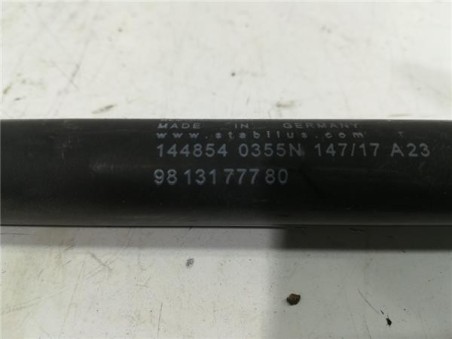 Amortiguador Porton Trasero Derecho Citroen C3 1 2 12V VTi 