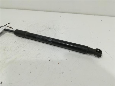 Amortiguador Porton Trasero Izquierdo Citroen C3 1 2 12V VTi 