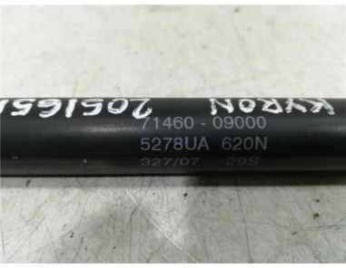 Amortiguador Porton Trasero Derecho Ssangyong KYRON 2 0 