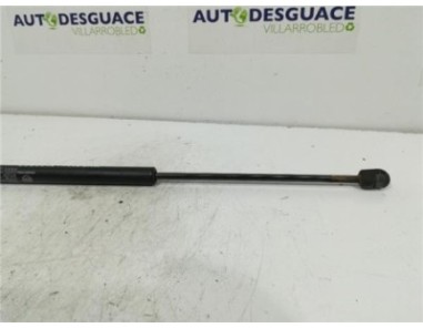 Amortiguador Porton Trasero Izquierdo Ssangyong KYRON 2 0 