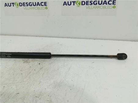 Amortiguador Porton Trasero Izquierdo Ssangyong KYRON 2 0 