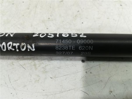 Amortiguador Porton Trasero Izquierdo Ssangyong KYRON 2 0 