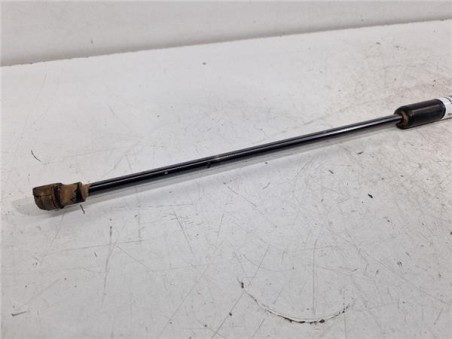 Amortiguador Porton Trasero Derecho Renault Koleos I  2 0 Dynamique Pack1 [2 0 Ltr  - 110 kW dCi Diesel FAP]