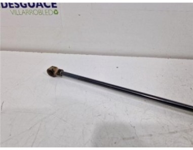 Amortiguador Porton Trasero Izquierdo Renault Koleos I  2 0 Dynamique Pack1 [2 0 Ltr  - 110 kW dCi Diesel FAP]