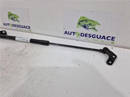 Amortiguador Porton Trasero Izquierdo Nissan QASHQAI+2 2 0 dCi Turbodiesel 