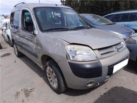 Amortiguador Porton Trasero Derecho Citroen Berlingo Combi  1 6 HDi 90