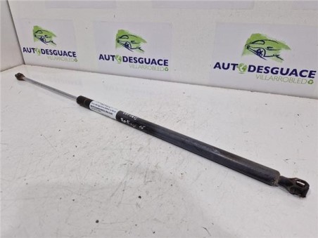 Amortiguador Porton Trasero Derecho Citroen Berlingo Combi  1 6 HDi 90