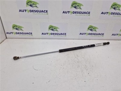 Amortiguador Porton Trasero Izquierdo Citroen Berlingo Combi  1 6 HDi 90