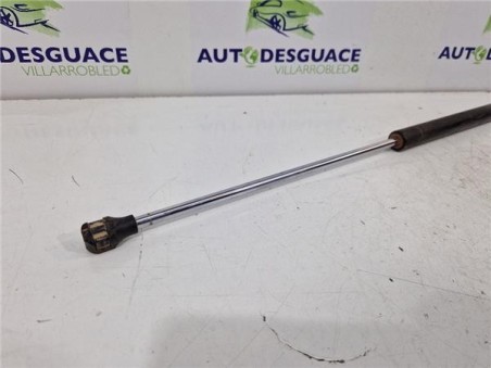 Amortiguador Porton Trasero Izquierdo Citroen Berlingo Combi  1 6 HDi 90