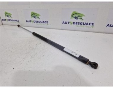 Amortiguador Porton Trasero Izquierdo Citroen Berlingo Combi  1 6 HDi 90