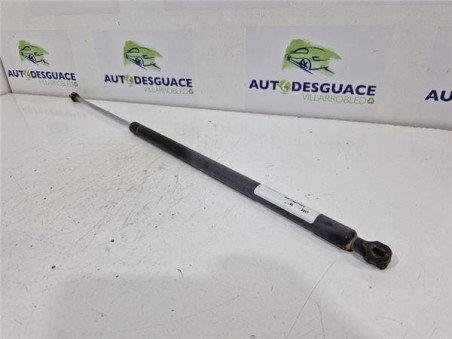 Amortiguador Porton Trasero Izquierdo Citroen Berlingo Combi  1 6 HDi 90