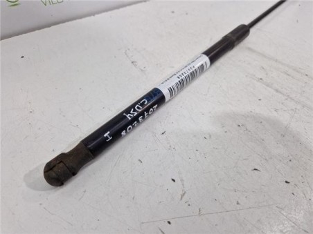 Amortiguador Porton Trasero Izquierdo Citroen DS4  2 0 Sport [2 0 Ltr  - 120 kW HDi FAP]