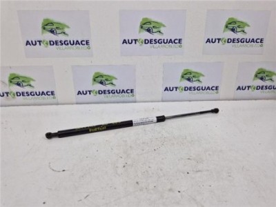 Amortiguador Porton Trasero Izquierdo BMW Serie X5  3 0d [3 0 Ltr  - 135 kW 24V Turbodiesel CAT]