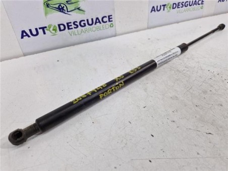 Amortiguador Porton Trasero Izquierdo BMW Serie X5  3 0d [3 0 Ltr  - 135 kW 24V Turbodiesel CAT]