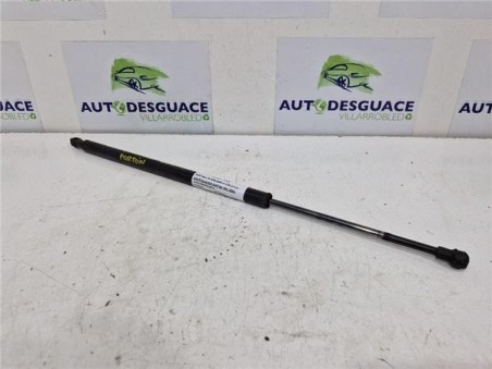 Amortiguador Porton Trasero Izquierdo BMW Serie X5  3 0d [3 0 Ltr  - 135 kW 24V Turbodiesel CAT]